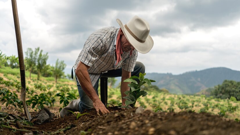 sustainability farmer image