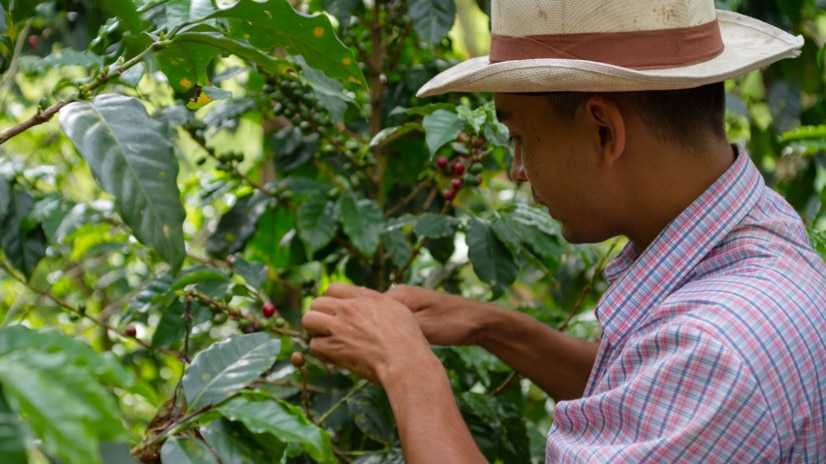 sustainability farmer image