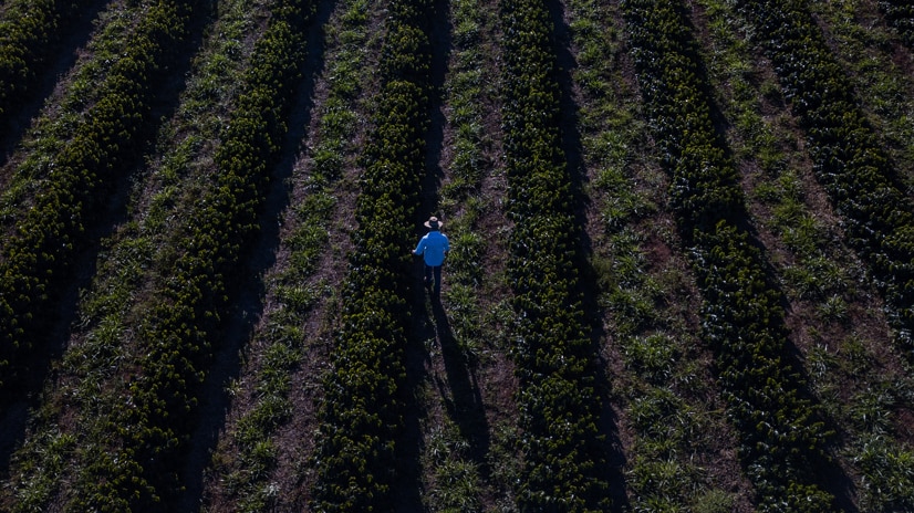 sustainability farmer image